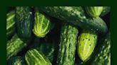 Check Your Fridge: Cucumbers Recalled in 14 States Over Salmonella Risk