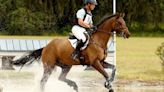 Horse sports are a leading cause of traumatic brain injuries. Can they be made safer?