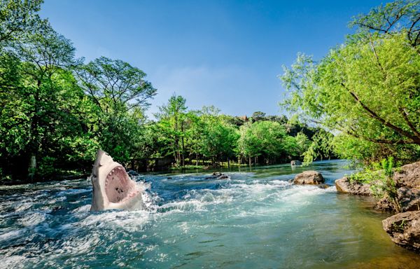 City of New Braunfels reassures tubers that there are no sharks in Comal County rivers