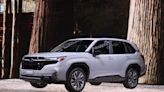 2023 洛杉磯車展直擊：設計層面終於大進化的「森林人」，Subaru Forester 第六代實車詳解