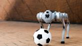 This robot dog can play soccer on grass, mud and sand