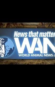 World Animal News