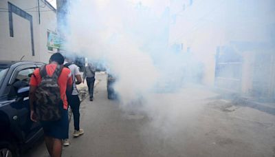 Month-long fogging drive kicks off in Noida to combat vector-borne diseases