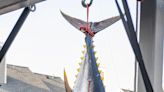 White Marlin Open leaderboard: Tuna and wahoo on top for day 3