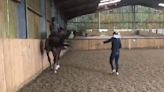 Video shows Charlotte Dujardin whipping horse in training session