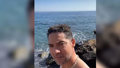 VIDEO: ¿David Bisbal soltero?