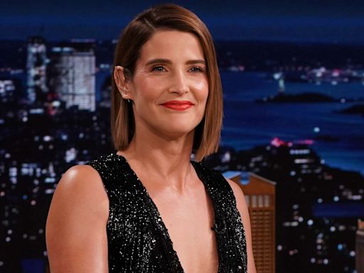 Cobie Smulders' 2 Kids: All About Daughters Shaelyn and Janita