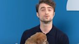 Watch Daniel Radcliffe Sell You On Rescue Pups With Harry Potter Shtick