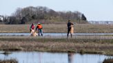 Berkeley cleanup targets trash, pollution in Barnegat Bay