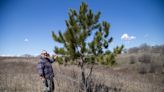 Arbor Day tradition aims to put trees in ground while easing political tensions at Capitol