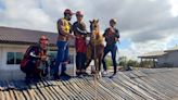 Rescatan a 'Caramelo', un caballo atrapado tras inundacionesen Brasil