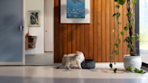Petlibro Polar: A step forward in pet wellness with the refrigerated automatic wet food feeder