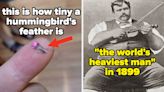 My Little Dumb Brain Is Totally Blown After Seeing These 23 Absolutely Fascinating Pictures For The First Time