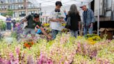 The Olathe Farmers Market is now open at two different locations