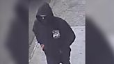 Hooded gunman who took off in BMW sought for Bronx murder: NYPD