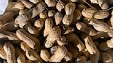 Growers can have successful peanut production