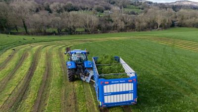 Eamon O’Connell: Do the research before zero grazing or you’ll pay the price