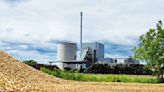 Lenzing Agrees to Purchase Biomass Plant