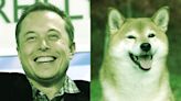 This Week in Coins: Dogecoin Outpaces Bitcoin and Ethereum Amid Musk’s Twitter Takeover