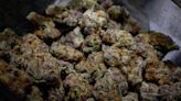 Ypsilanti puts hard cap on marijuana retailers allowed in the city