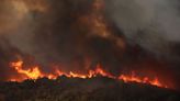 Greek police arrest dozens for arson as EU’s largest-ever wildfires rage