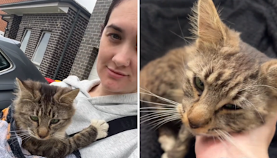 Woman opens door and Cat boldly walks in, but there's just one problem