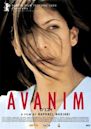 Avanim