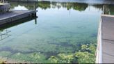 Army Corps' Lake Okeechobee releases carry toxic algae to Timer Powers Park in Indiantown