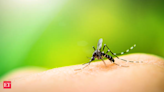 Zika virus testing can now be done at AIIMS Rajkot; results to be available in 24 hours - The Economic Times