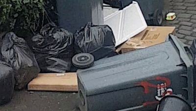 Couple who tidied up rubbish in the street are fined £1,200