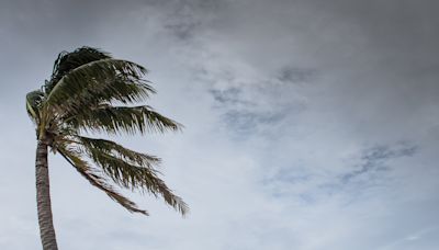 Spaghetti models as Tropical Storm Beryl "likely" to form