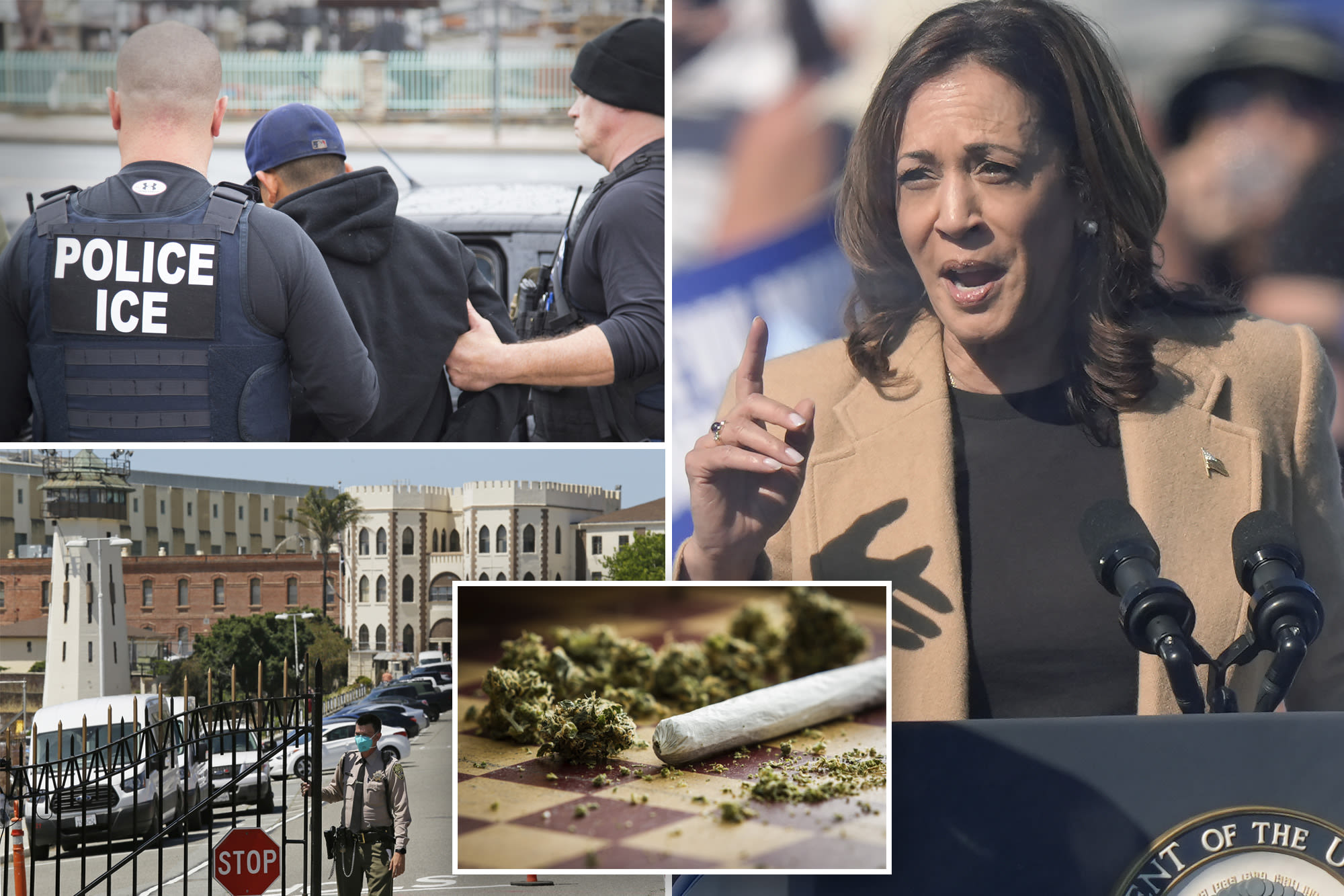 Kamala Harris told ACLU she’d fund trans surgeries for migrant inmates, decriminalize drugs and end ICE detainers during 2020 campaign