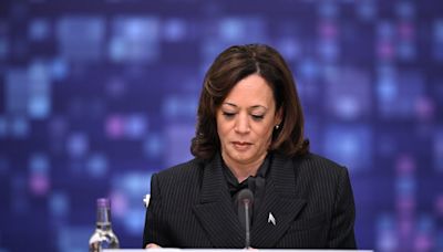 The Irish Times view on Kamala Harris: 100 days to win the White House