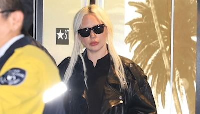 Only Lady Gaga Could Pull Off This Custom Bag