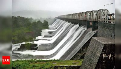 Mumbai rain: In 24 hours, lake levels rise by 4% after overnight downpour | Mumbai News - Times of India