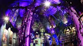 台南新景點「魔域王座」！15米書櫃爬滿藤蔓 穿越魔法世界當王者
