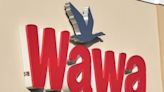 Wawa proposed for south Georgia site. What we know