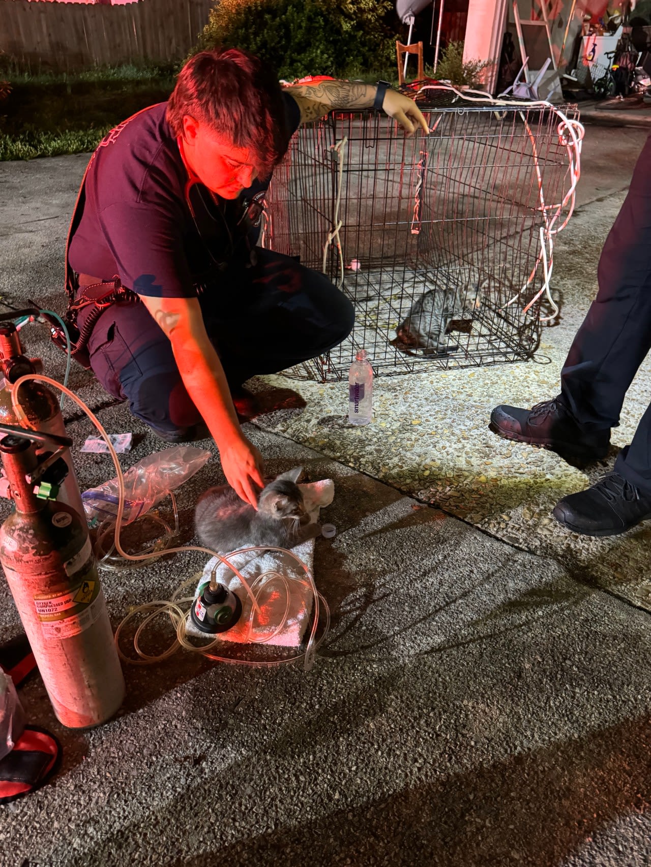 Panama City Fire Department rescued three kittens from a structure fire