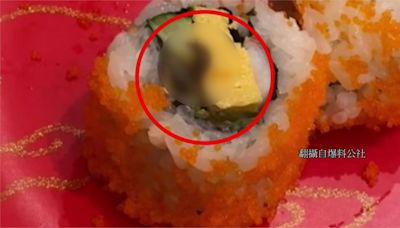 壽司爬出「活蛞蝓」！ 合點壽司聲明道歉親曝來源是它