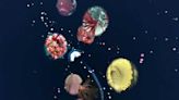 MBARI releases new game 'Fathomverse' to help interact with marine life