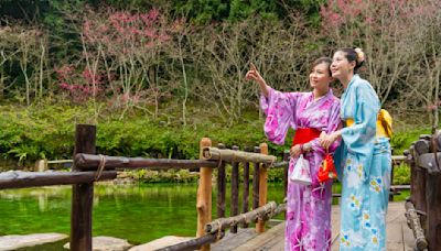 夏天旅遊日本怎麼玩?夏季日本景點推薦！