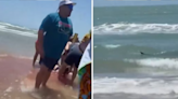 Caught on Cam: Sea Water Turns Red As Shark Attacks 4 People In Texas, Horrifying Video Goes Viral