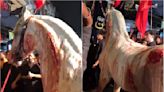 VIDEO: Horse Paraded With Injury Marks In Mumbai's Dongri During Muharram Procession On Ashura; Netizens React