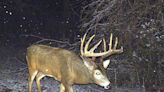 Patrick Durkin: Recent study offers detailed look at Wisconsin's falling hunter numbers - Outdoor News