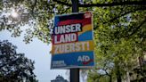 Una campaña social denuncia que AfD reproduce terminología nazi