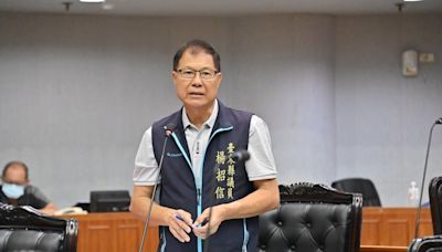 金針山原漢爭地半世紀 台東縣議會盼原民會處理