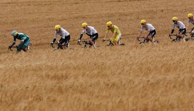 Etapa 9 del Tour de Francia: hora y dónde ver a los ciclistas compitiendo