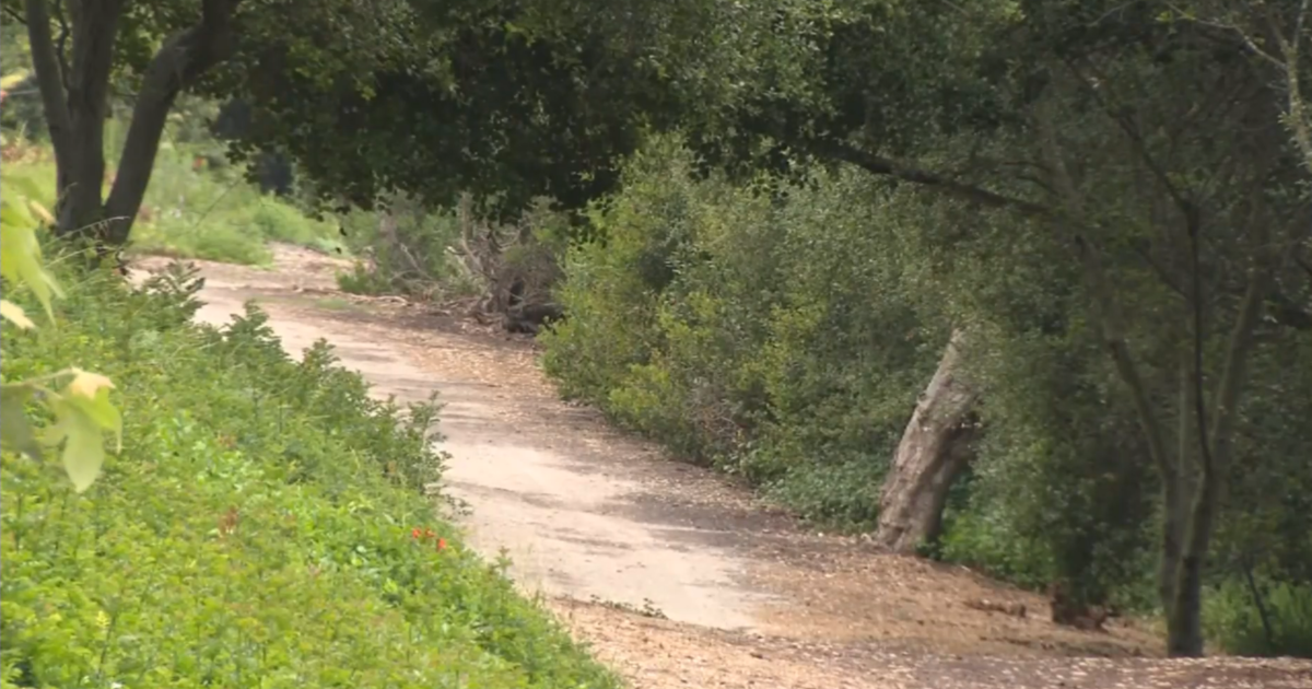 Mission Viejo residents put on alert after mountain lion spotted over weekend