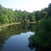 Aucilla River