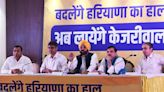 AAP to contest all 90 Assembly seats in Haryana, says Rajya Sabha MP Sanjay Singh